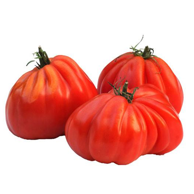 Coeur de boeuf tomaten