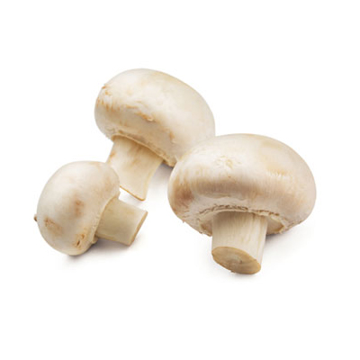 Romeinse champignons