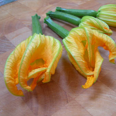 Gefrituurde courgettebloemen