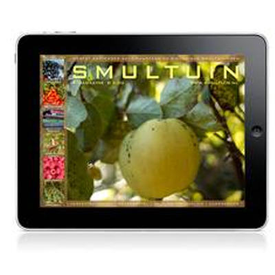 E-magazine Smultuin
