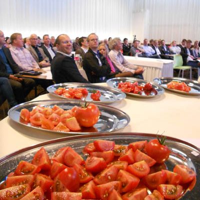 Honingtomaat verkozen tot beste tomaat van Nederland