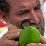 etrog