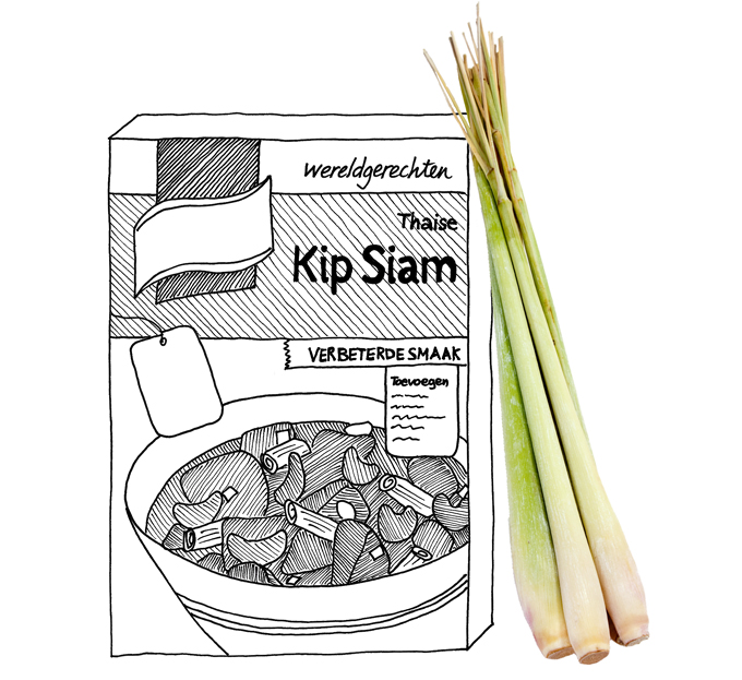 Kip Siam