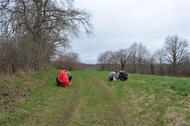 Auvergne wildplukken