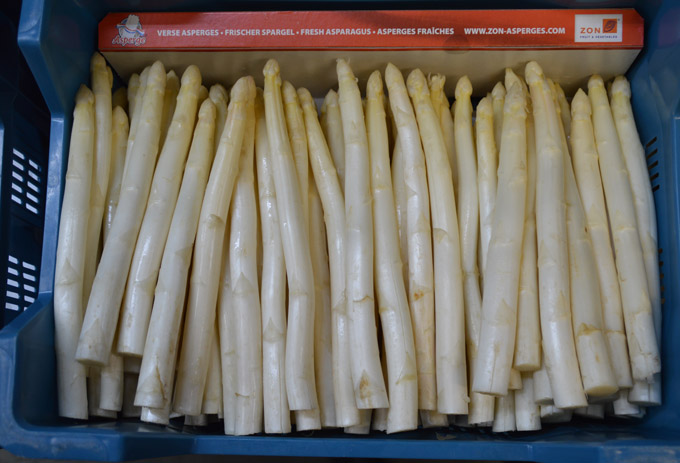 Asperges