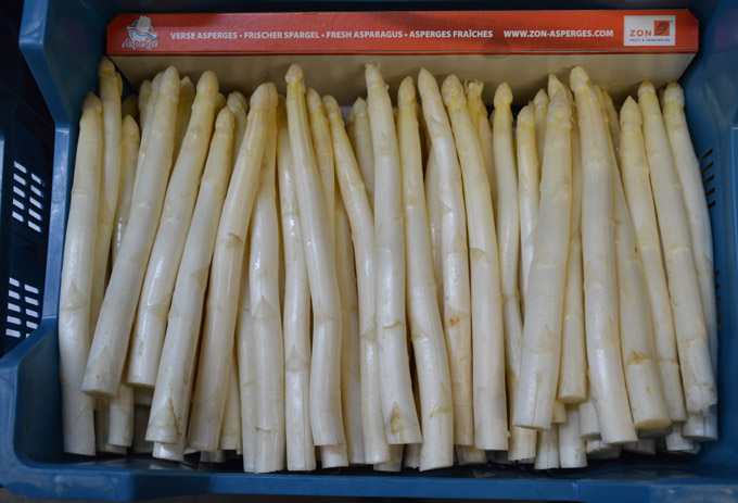 Asperges