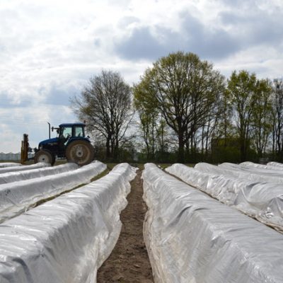 Op reportage naar de asperges